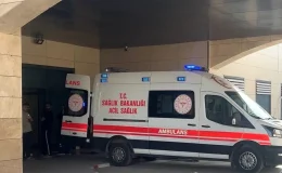 Ceylanpınar’da Kadına Şiddet: Bir Adam, Birlikte Yaşadığı Kadını Ağır Yaraladı