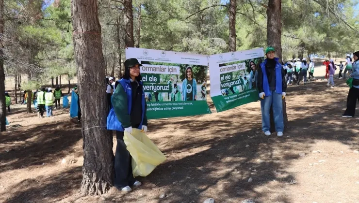 Gençler Ormanların Korunması İçin El Ele Verdi